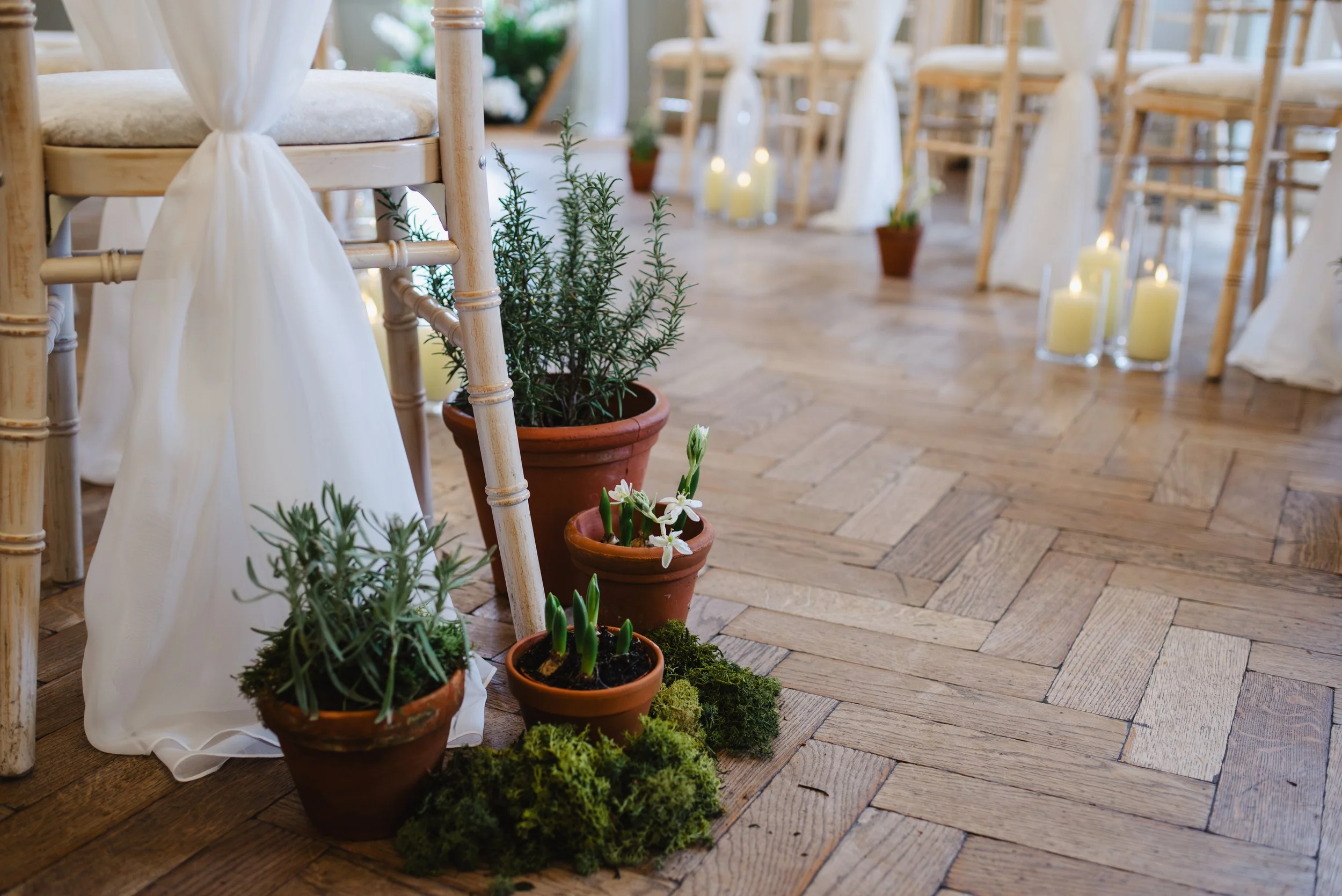 Wedding Sustainability